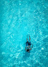 &copy; Edwin Howson&nbsp;&nbsp;<em>Surface Dive</em>