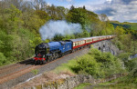 &copy; John Cooper-Smith&nbsp;&nbsp;<em>Blue Peter at Sherrif's Brow</em>