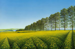 &copy; Brian Blinkhorn&nbsp;&nbsp;<em>Kirkdale Poplars</em>