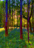 &copy; Rodney Dinnen&nbsp;&nbsp;<em>Inspired by Hockney</em>