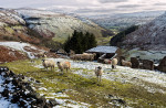 &copy; John Bentley&nbsp;&nbsp;<em>Crackpot Hall, Swaledale</em>