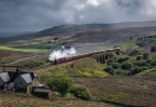 &copy; John Cooper-Smith&nbsp;&nbsp;<em>Galatea and Wensleydale</em>