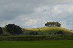 &copy; Bev Baxter&nbsp;&nbsp;<em>Last ray of sunshine</em>
