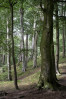 &copy; Graham Wood&nbsp;&nbsp;<em>Light and Shadow</em>