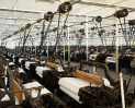 &copy; Graham Wood&nbsp;&nbsp;<em>Weaving Hall</em>