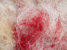 &copy; Sue Best&nbsp;&nbsp;<em>Bit Of A Tangle</em>