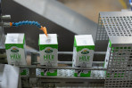 &copy; Andy Best&nbsp;&nbsp;<em>Date Stamping</em>