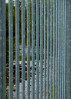 &copy; Rodney Dinnen&nbsp;&nbsp;<em>Ribble fenced</em>
