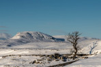 &copy; Iain Burke&nbsp;&nbsp;<em>Pen-y-ghent</em>