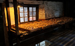&copy; Elaine Newington Ward&nbsp;&nbsp;<em>Bobbins drying out</em>