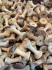 &copy; Sharon Floyd&nbsp;&nbsp;<em>Bobbins</em>