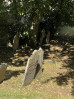 &copy; Gill Pinkerton&nbsp;&nbsp;<em>Gravestones</em>