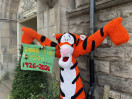 &copy; Sharon Floyd&nbsp;&nbsp;<em>Bouncing in Hawes</em>