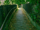 &copy; Sue Best&nbsp;&nbsp;<em>Hawes Footpath</em>