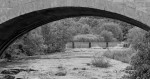 &copy; Caitlin Hampson&nbsp;&nbsp;<em>View from the under side</em>