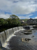 &copy; Sharon Floyd&nbsp;&nbsp;<em>Looking for Dippers</em>