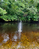 &copy; Sharon Floyd&nbsp;&nbsp;<em>Splash</em>