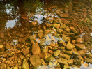 &copy; Sharon Floyd&nbsp;&nbsp;<em>Pebble Reflections</em>