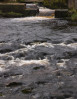 &copy; Andy Best&nbsp;&nbsp;<em>Cascading Grace</em>