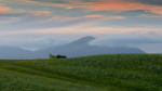 &copy; Caitlin Hampson&nbsp;&nbsp;<em>A Simple Life</em>