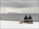 &copy; Paul Hargreaves&nbsp;&nbsp;<em>Alone, together</em>