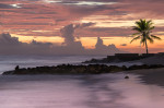 &copy; Peter Robinson&nbsp;&nbsp;<em>Sea, sand and solitude</em>