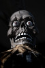 &copy; Tim Fearon&nbsp;&nbsp;<em>Halloween 1</em>