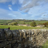 &copy; Sharon Floyd&nbsp;&nbsp;<em>Yorkshire countryside</em>