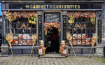 &copy; Sue Haddrill&nbsp;&nbsp;<em>Cabinet of Curiosities</em>