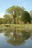 © Chris Chandler  <em>Reflections of spring at Thorpe Perrow</em>