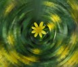 © Chris Yates  <em>blurred spring</em>