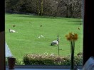 © Rod Smith  <em>My view of Spring</em>