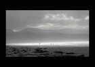 © David Crutchley  <em>Dog walker</em>