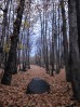 © Harry Pinkerton  <em></em>