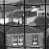 © Chris Chandler  <em>The Fly</em>
