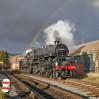 © John Cooper-Smith  <em>steam and rainbow</em>