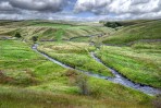 © Malcolm Walker  <em>Bookil Gill Beck, September 2012</em>