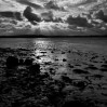 © Rod Smith  <em>Leven Estuary</em>