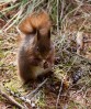 © Christine Flitcroft  <em>Last of the Winter Provisions</em>