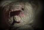 © Jeanette Davidson  <em>teddy</em>