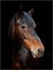 © Christine Flitcroft  <em>Lucy</em>