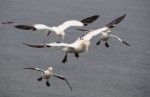 © Gill Pinkerton  <em>Are we synchronised?</em>