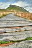 © Malcolm Walker  <em>Pen-y-gent</em>