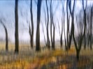 © Margaret Smith  <em>At the Edge of the Wood</em>