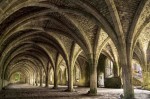 © Sue Haddrill  <em>Cellarium, Fountain's Abbey</em>