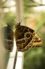© Sue Haddrill  <em>Reflections</em>