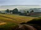 © Margaret Smith  <em>Yorkshire Wolds original</em>