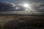 © Chris Chandler  <em>Winter Sun</em>