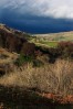 © Paul Higgins  <em>Winter View</em>