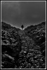 © Rod Smith  <em>Walking in a winter wonderland!</em>